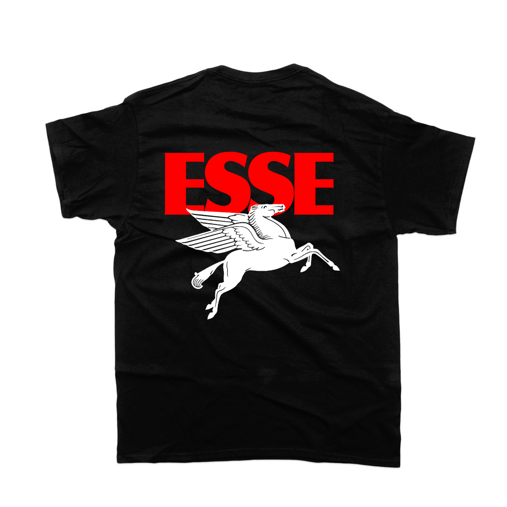 Pegasus