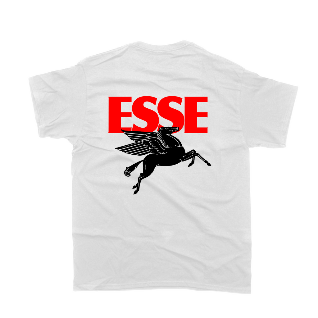 Pegasus