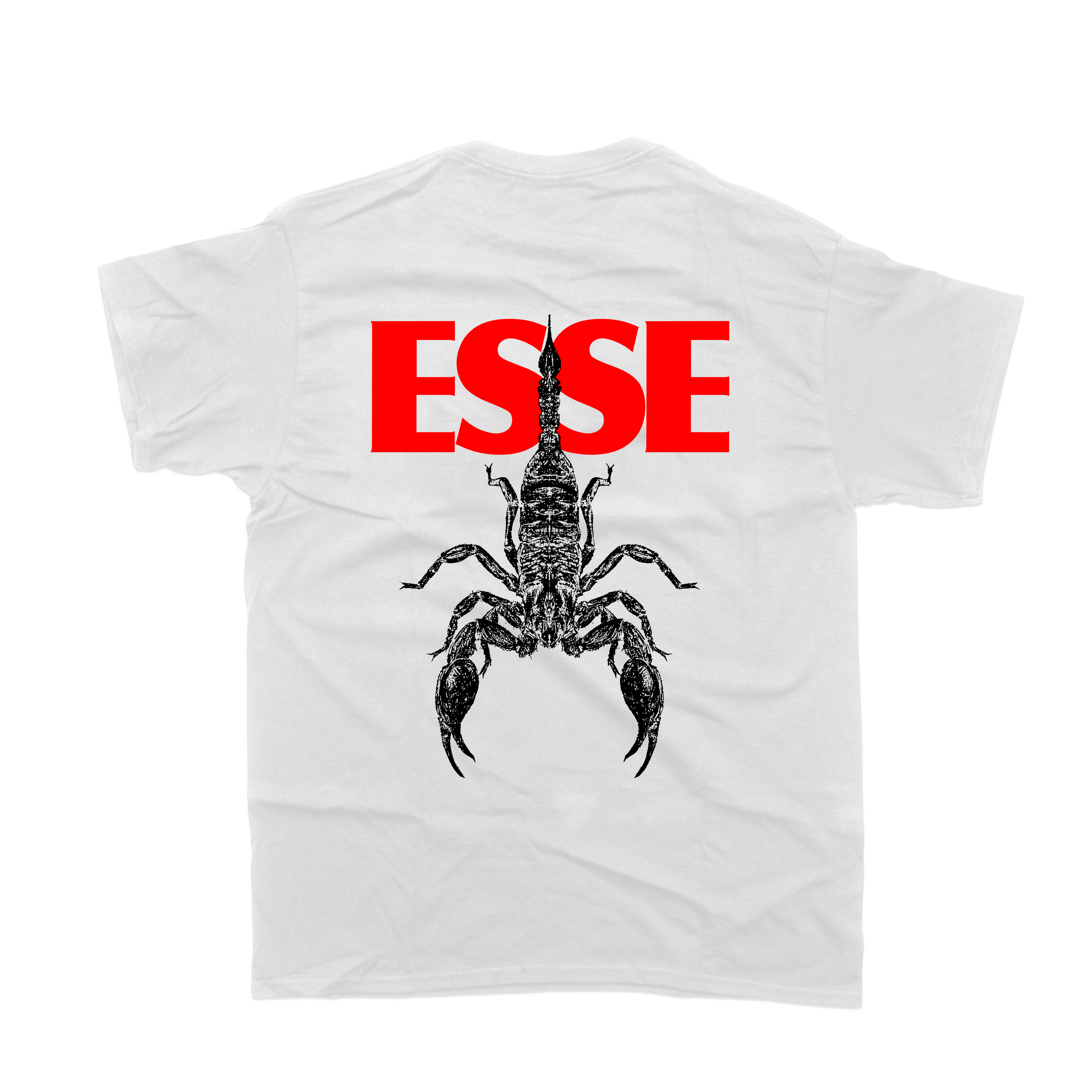 Scorpion